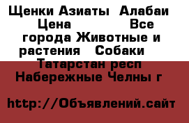 Щенки Азиаты (Алабаи) › Цена ­ 20 000 - Все города Животные и растения » Собаки   . Татарстан респ.,Набережные Челны г.